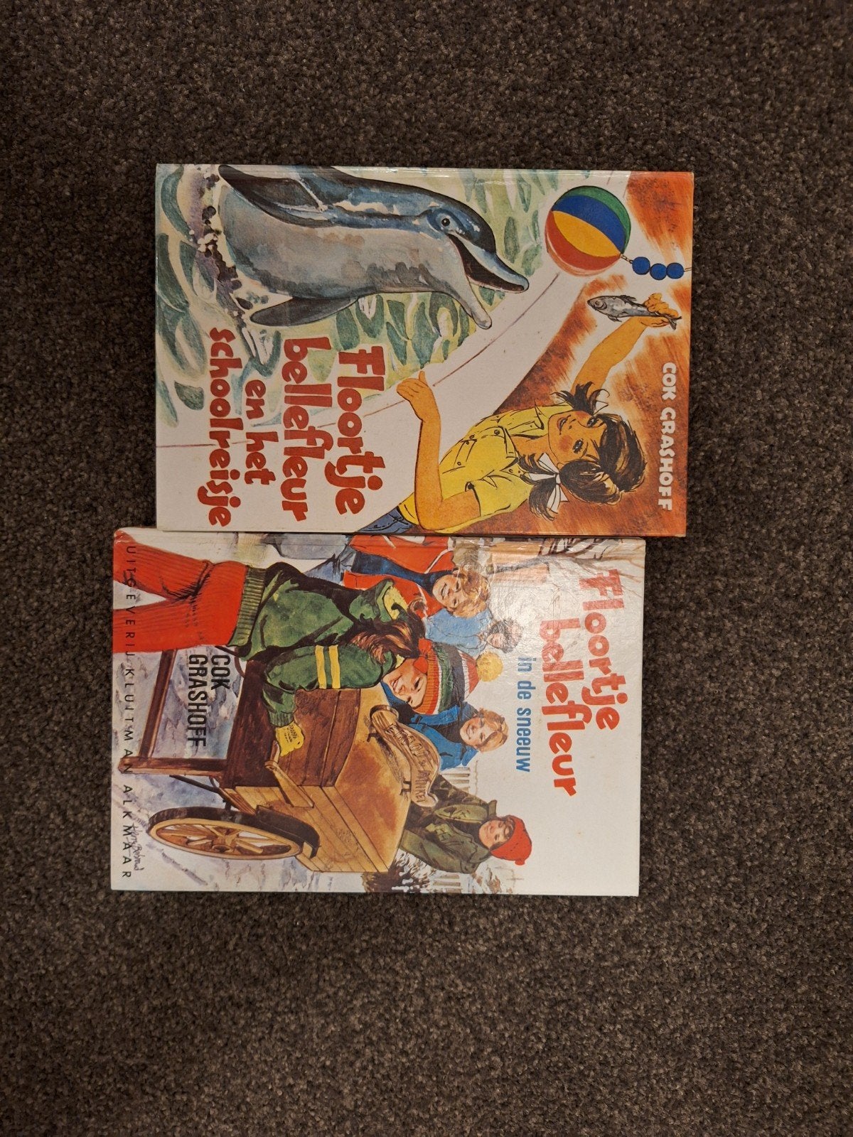 Floortje Bellefleur, Boeken, Ophalen of Verzenden, Gelezen