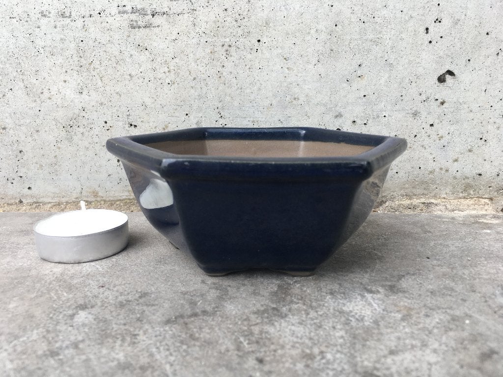 Bonsai schaal 11,5x11,5x5cm *****, Tuin en Terras, Ophalen of Verzenden, Zo goed als nieuw, Aardewerk, Minder dan 40 cm