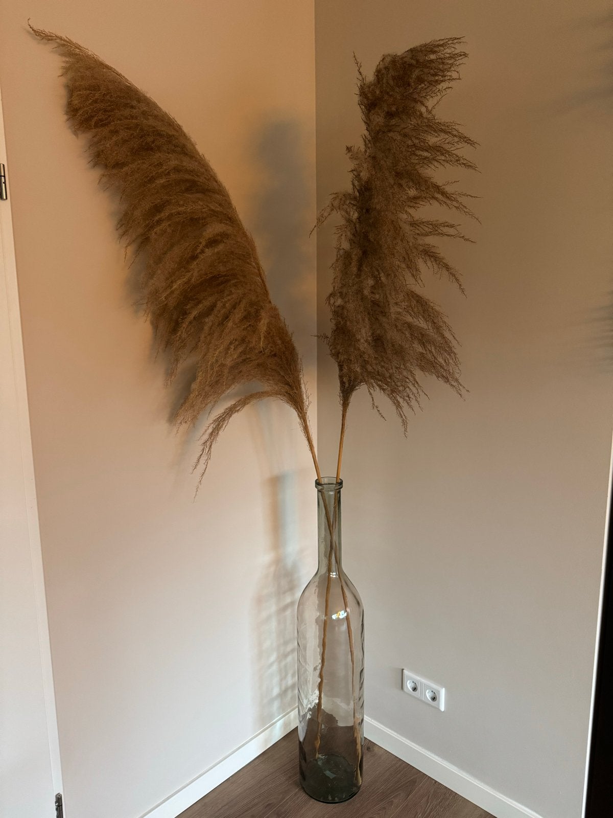 Pampas pluimen 2m beige excl. vaas, Ophalen, Transparant, Geschikt voor droogbloemen, Glas