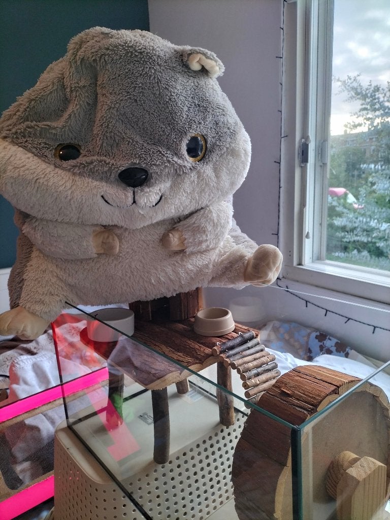 Terrarium Kans! Winstpakker, Overige typen, Zo goed als nieuw, Hamster, 75 tot 110 cm