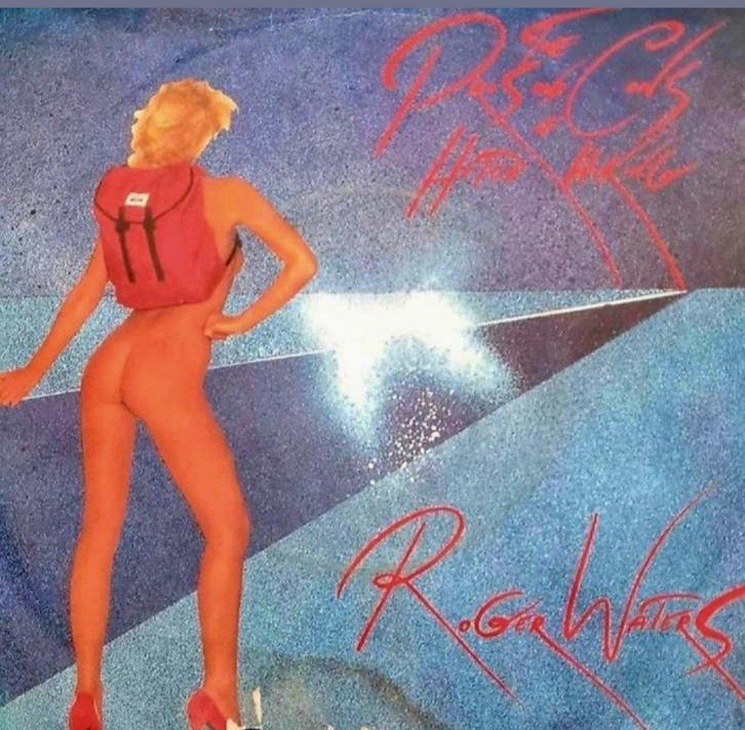 ROGER WATERS - THE PROS AND CONS OF HITCH HIKING(HOES BESCHA, Ophalen of Verzenden, Gebruikt