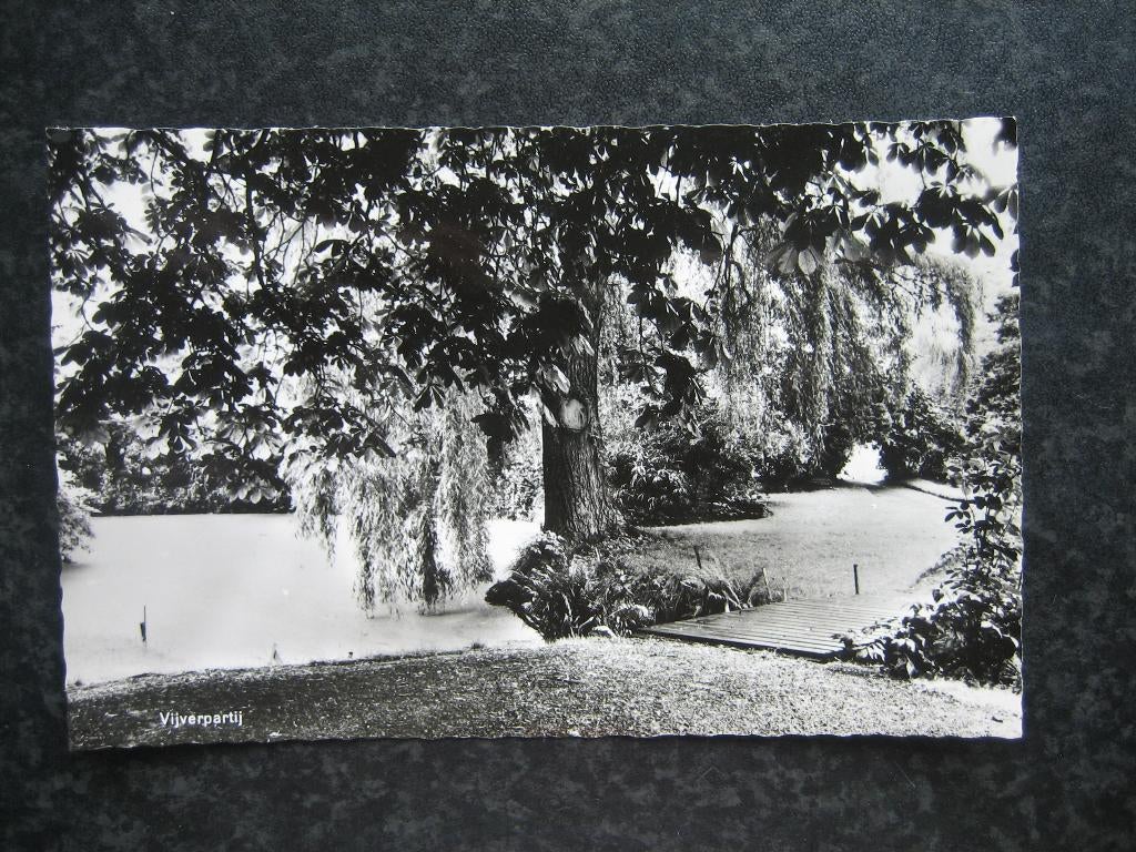 BORNE vijverpartij bij het Witte Huis 1968, Ophalen of Verzenden, 1960 tot 1980, Overijssel
