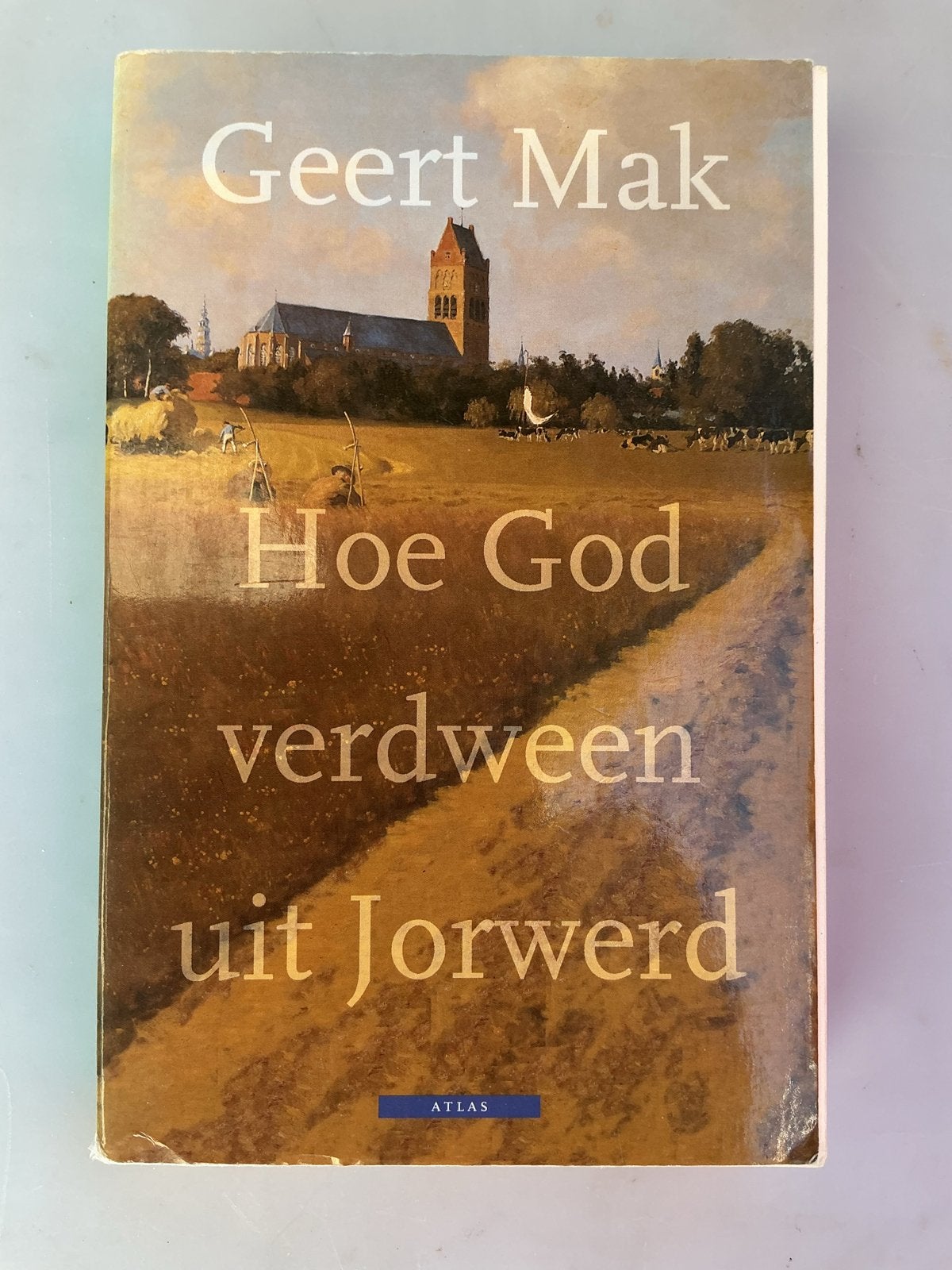 Hoe God verdween uit Jorwerd - Geert Mak, Boeken, Literatuur, Ophalen of Verzenden, Gelezen, Nederland