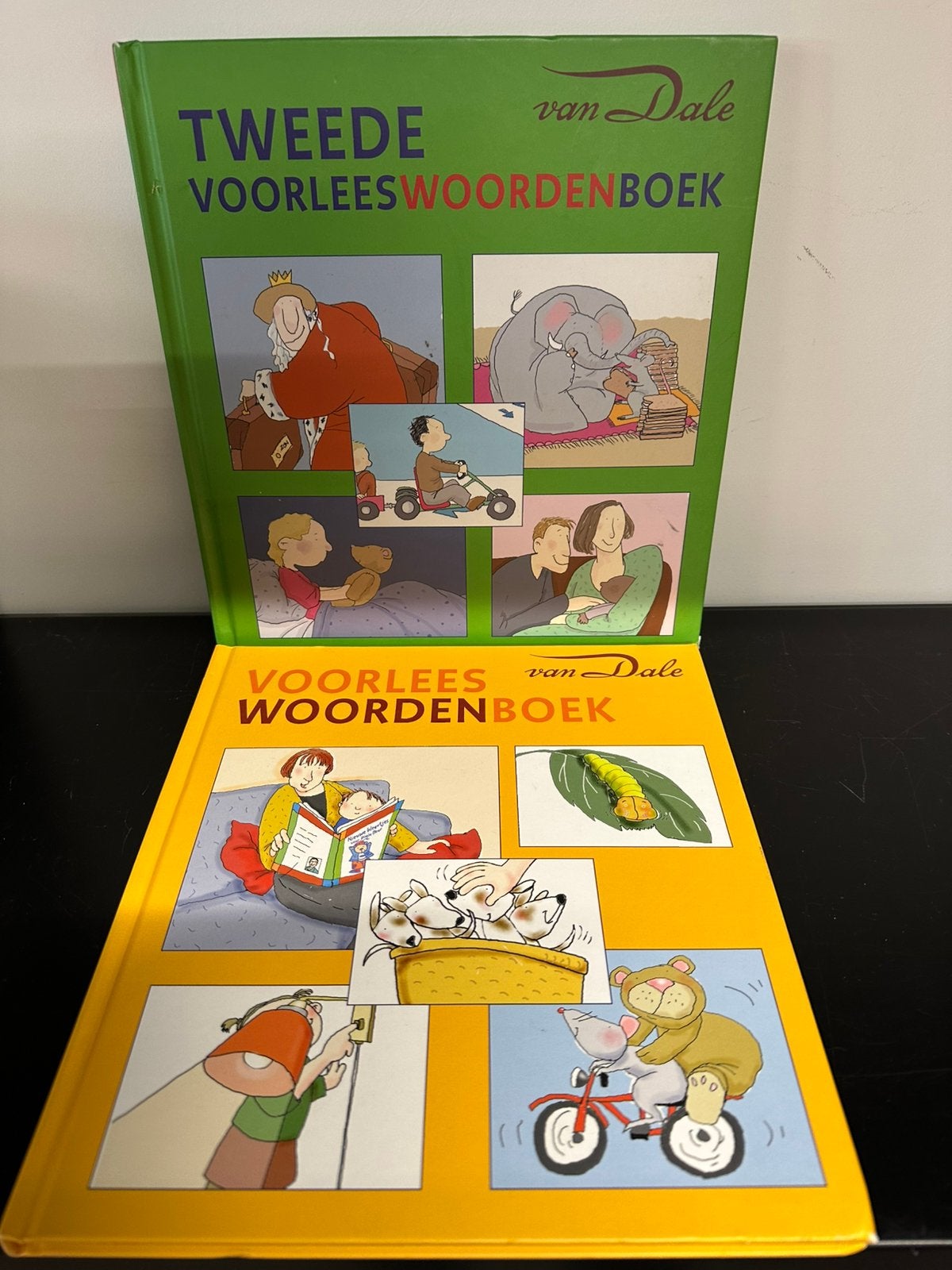 Van Dale voorleeswoordenboek 2+ en 4+ / 1 euro per stuk, Ophalen of Verzenden