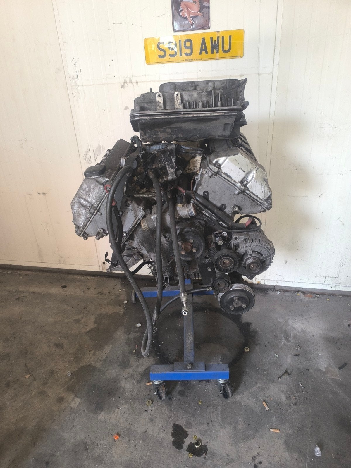 BMW M62B35 Motor - Lopend Gedemonteerd met Nieuwe Ketting, Ophalen