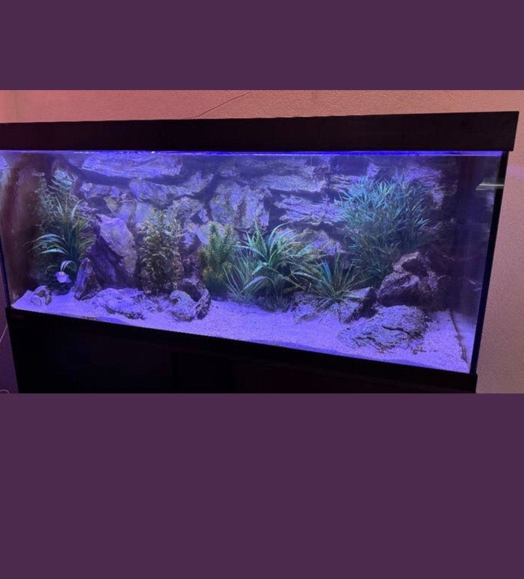 Eheim vivaline 180(100-41-50 hoog) inclusief meubel en 3d, Dieren en Toebehoren, Ophalen, Zo goed als nieuw, Leeg aquarium