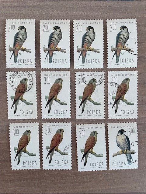 Bescherming van de Natuur 1975 - Valken, Ophalen of Verzenden, Polen, Gestempeld