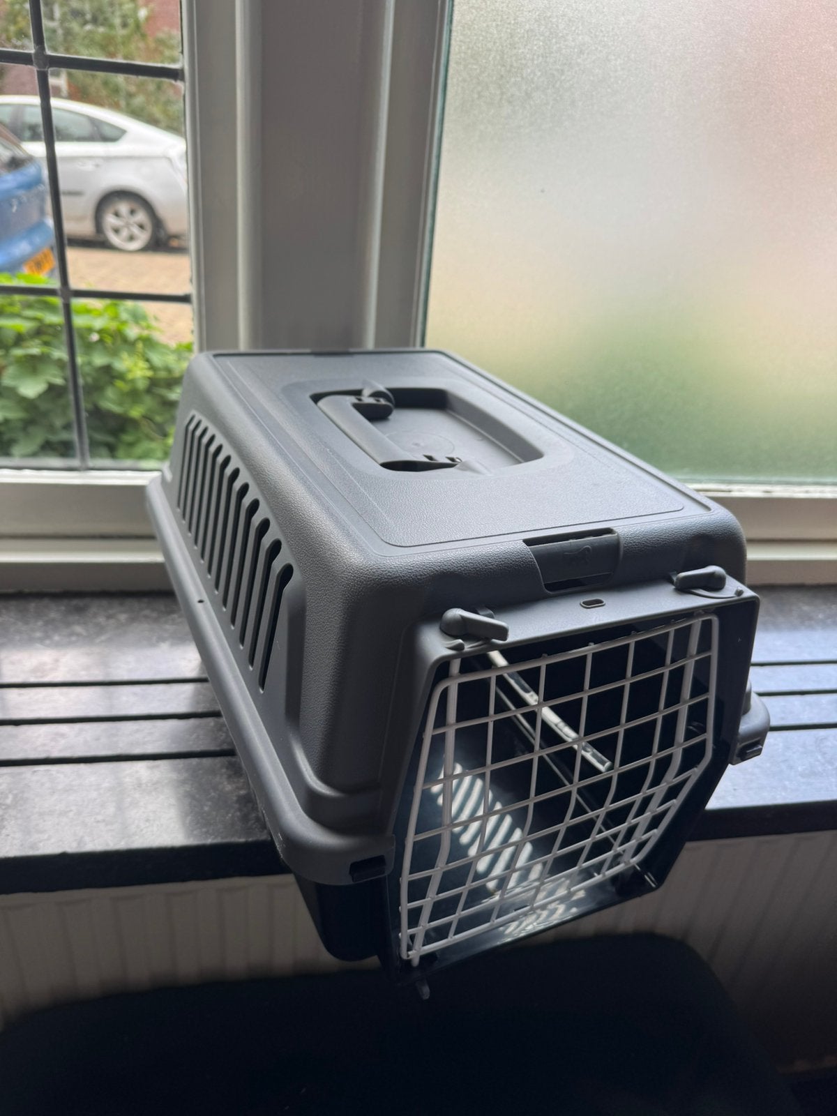 Kitten reismand, Dieren en Toebehoren, Ophalen, Gebruikt