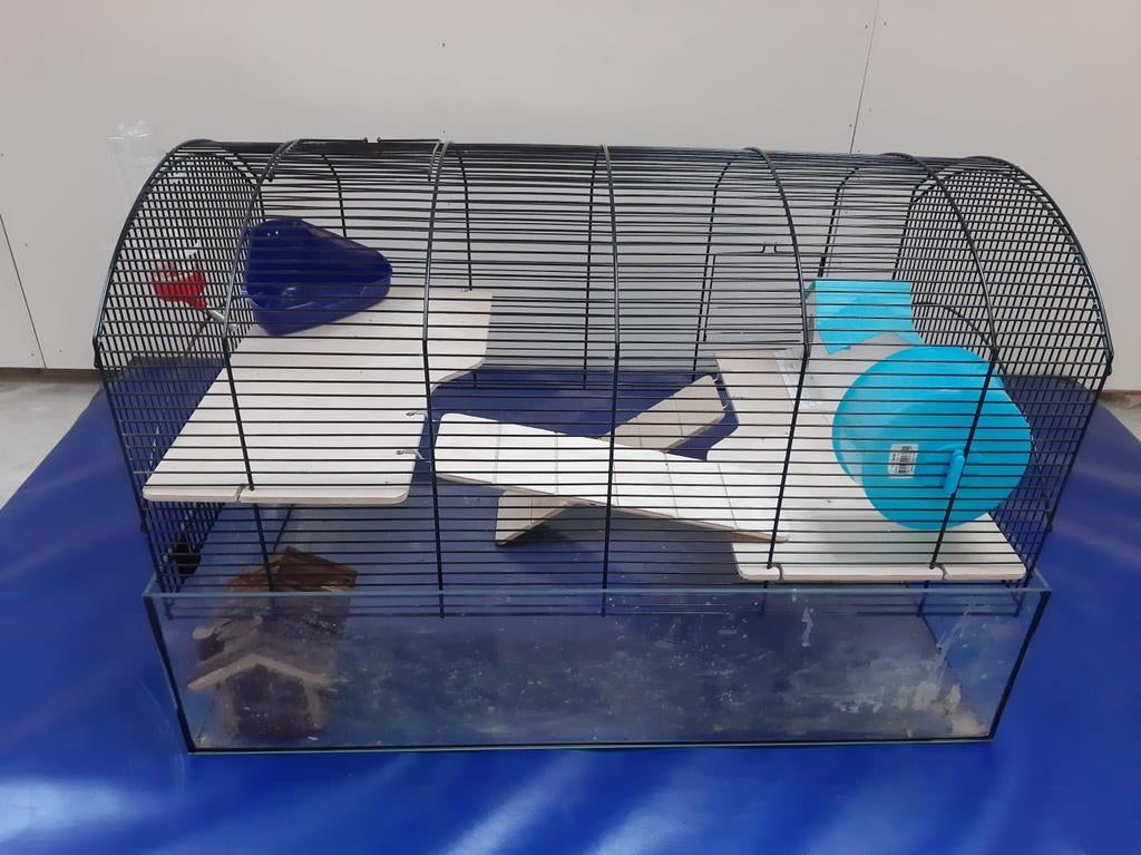 Hamsterhok, Ophalen of Verzenden