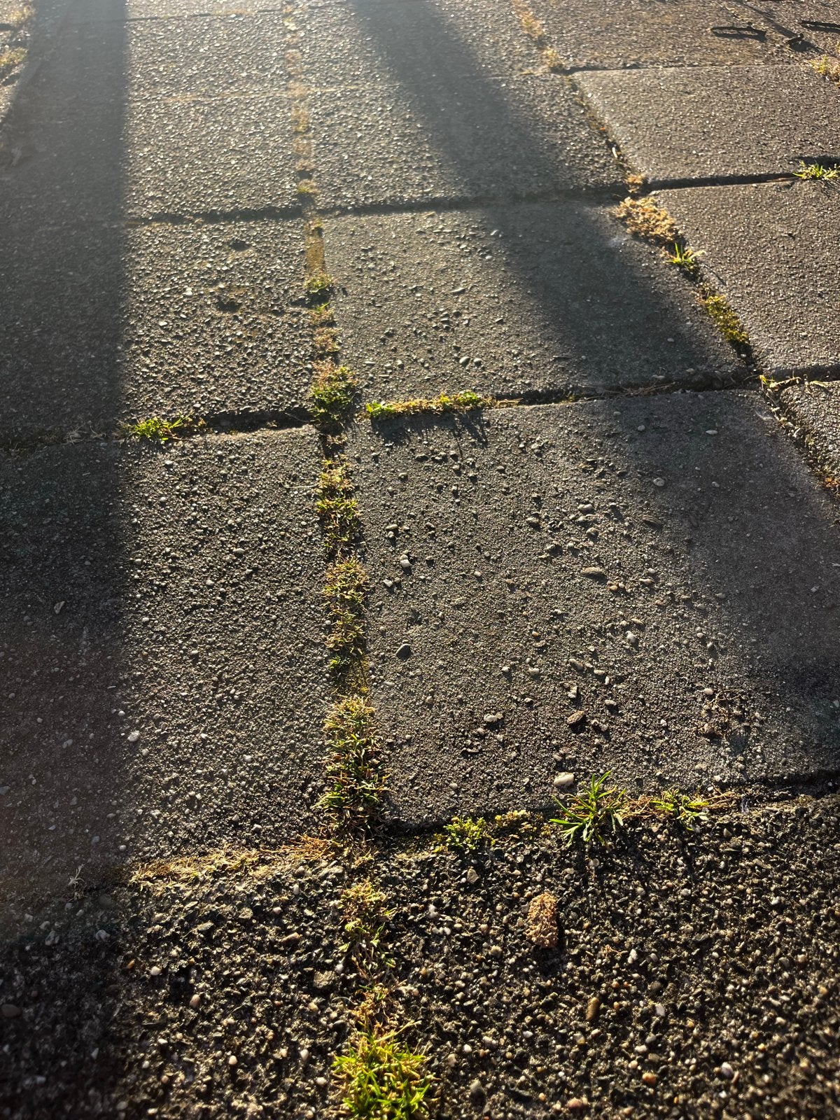 Gratis stoeptegels - tot 40 m2, Tuin en Terras, Ophalen, Gebruikt, 10 m² of meer, Beton