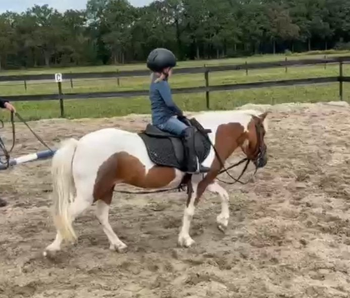 Super lieve kinderpony voor de kleinsten, Dieren en Toebehoren, Merrie, A pony (tot 1.17m), 11 jaar of ouder, Recreatiepony