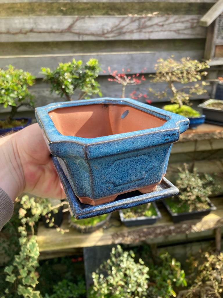 Bonsai pot 10x15 cm met schaal - Rechthoekig, Tuin en Terras, Bloembakken en Plantenbakken, Ophalen, Steen, Minder dan 30 cm, Minder dan 60 cm