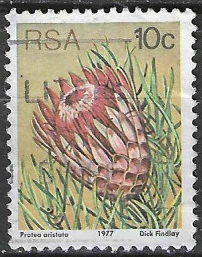 Zuid-Afrika 1977 - Yvert 425 - De Kleindensuikerbos  (ST), Verzenden, Zuid-Afrika, Gestempeld