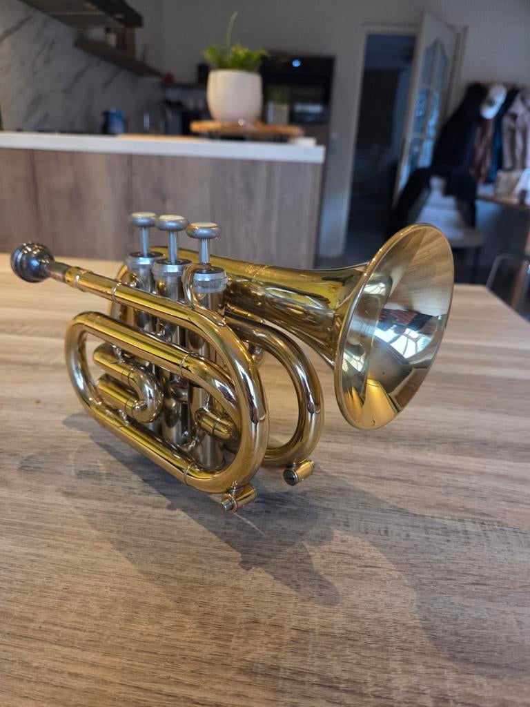 JUPITER SPT-416 Pocket bes Trompet - Compact en Krachtig, Ophalen