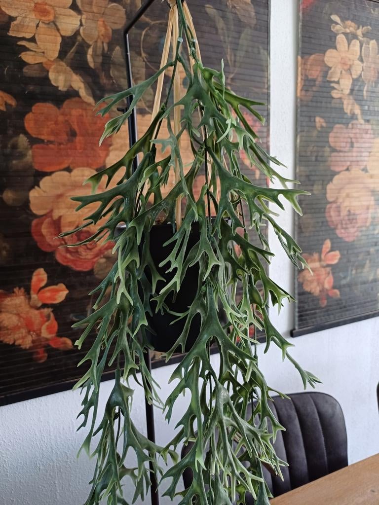 Prachtige hangende kunstplant - 85 cm - Onderhoudsvrij, Ophalen of Verzenden, Nieuw