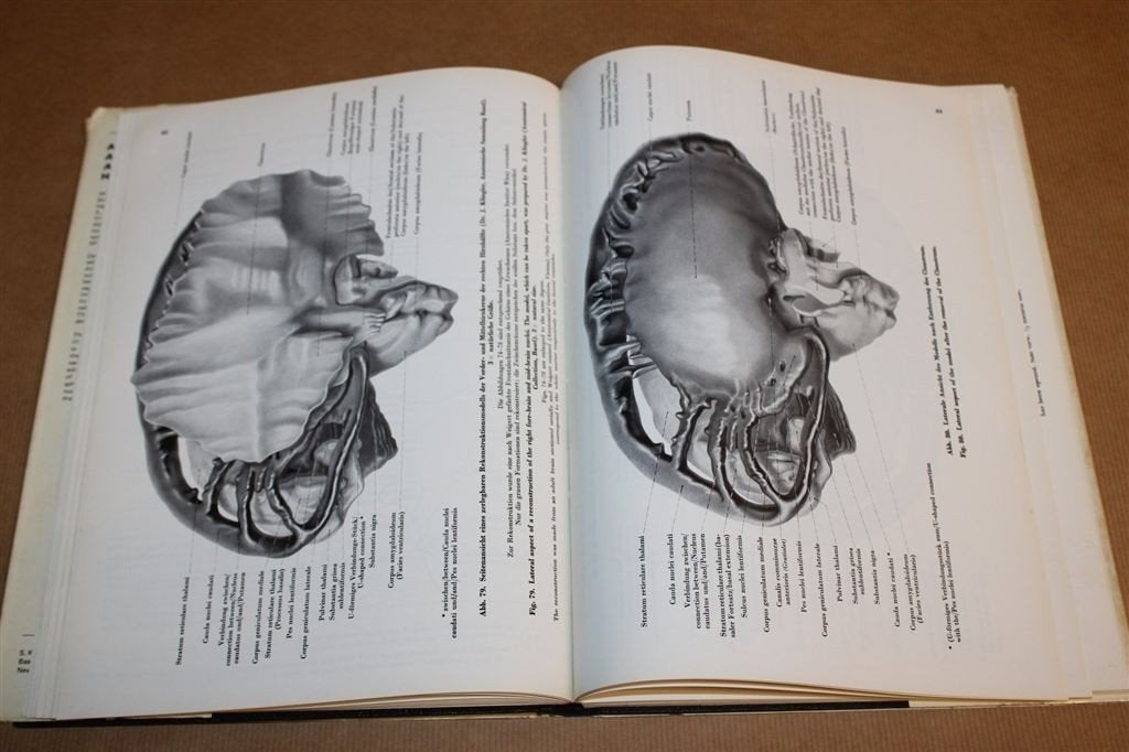 Vintage Anatomische Atlas [1972] — Zenuw- & Vaatstelsel, Ophalen of Verzenden, Gelezen, Natuurwetenschap