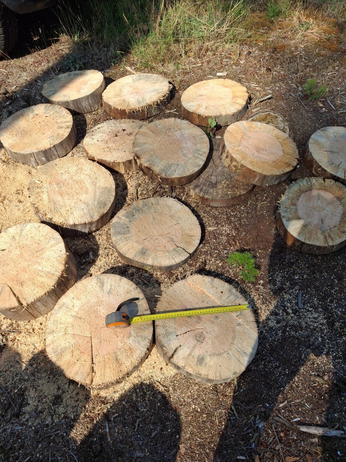 Gedroogde houten stapstenen - Schijven voor tuinpad, Tuin en Terras, Ophalen of Verzenden, Gebruikt, Minder dan 180 cm, Overige typen