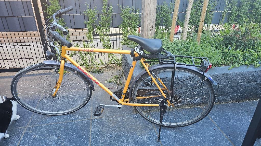 City bike 21 versnellingen, Gebruikt, Velgrem, Versnellingen, 57 tot 61 cm
