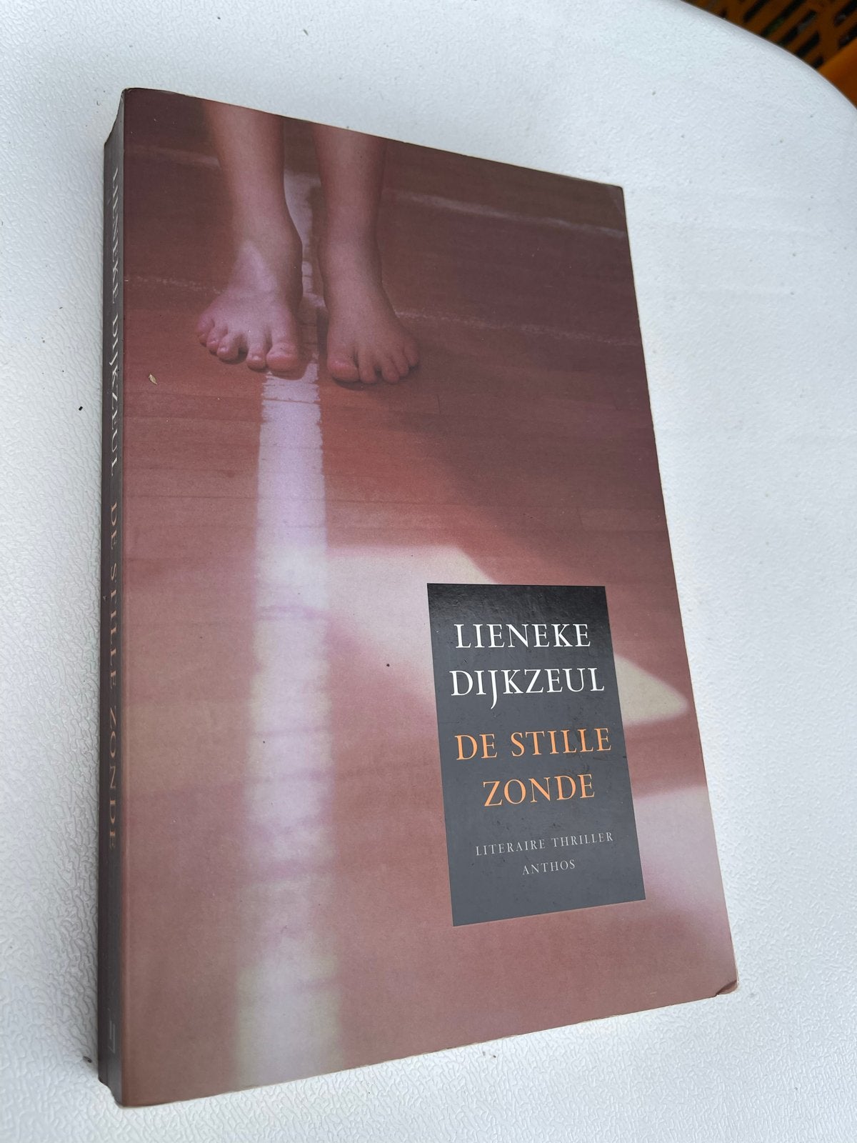 Lieneke Dijkzeul - De Stille Zonde (Literaire Thriller), Ophalen of Verzenden, Gelezen, Nederland