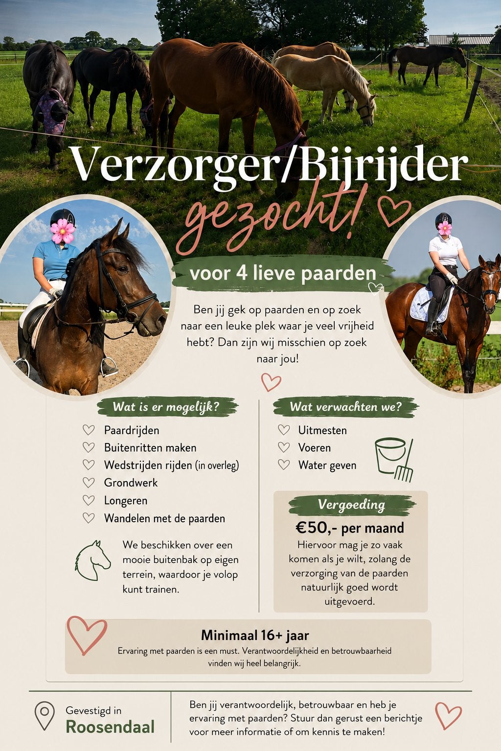 Verzorger/bijrijder gezocht Roosendaal, Dieren en Toebehoren
