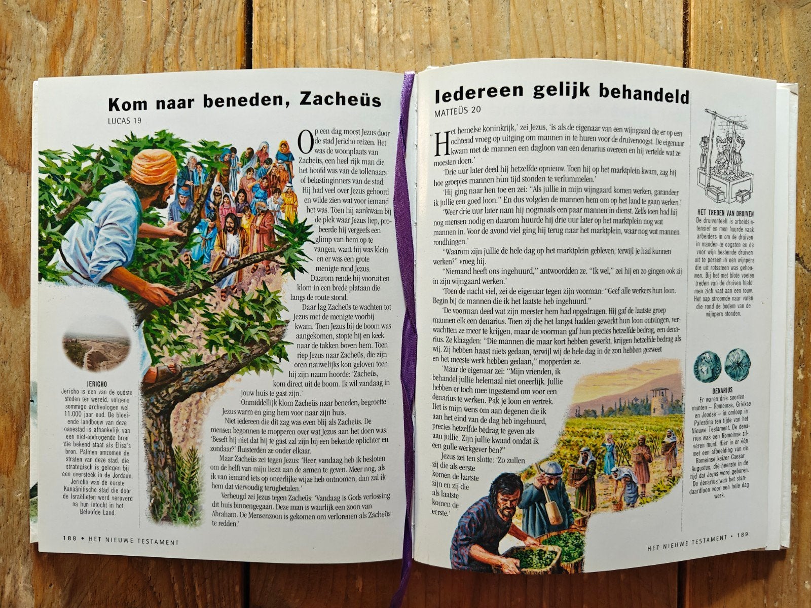 Geïllustreerde Bijbel verhalen., Ophalen of Verzenden, Zo goed als nieuw