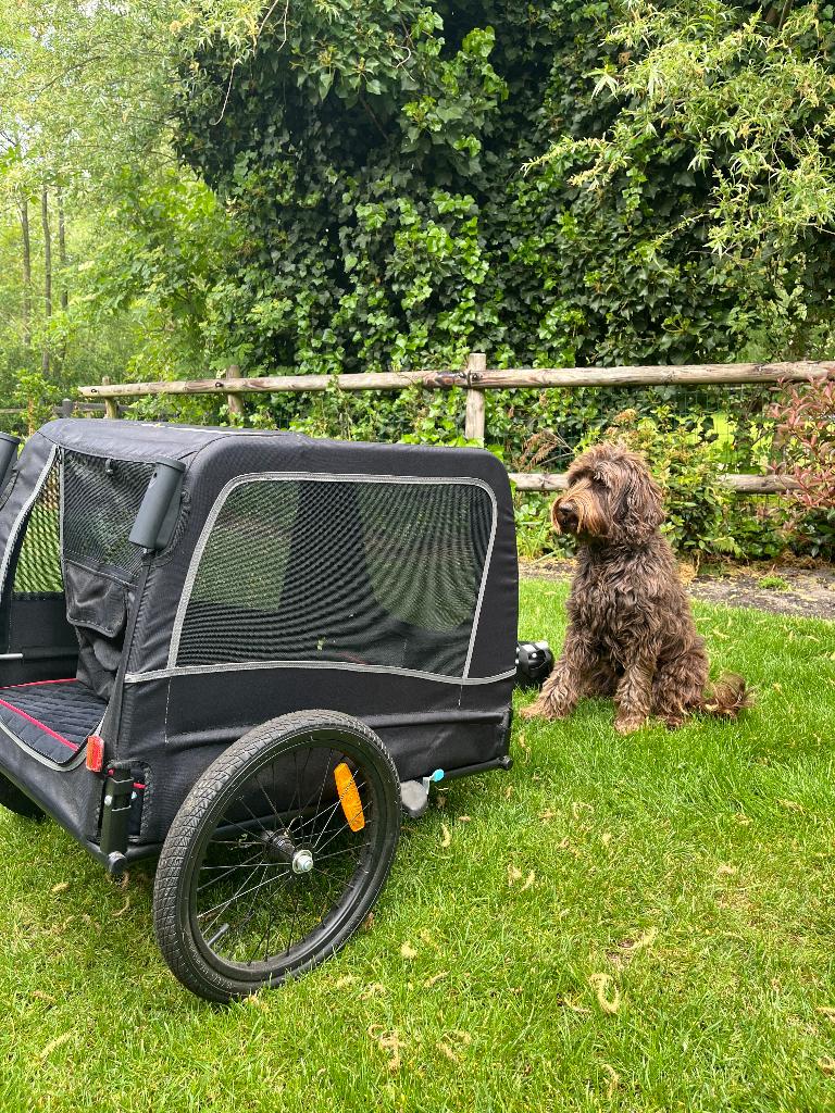Honden fietskar, Ophalen of Verzenden, Nieuw