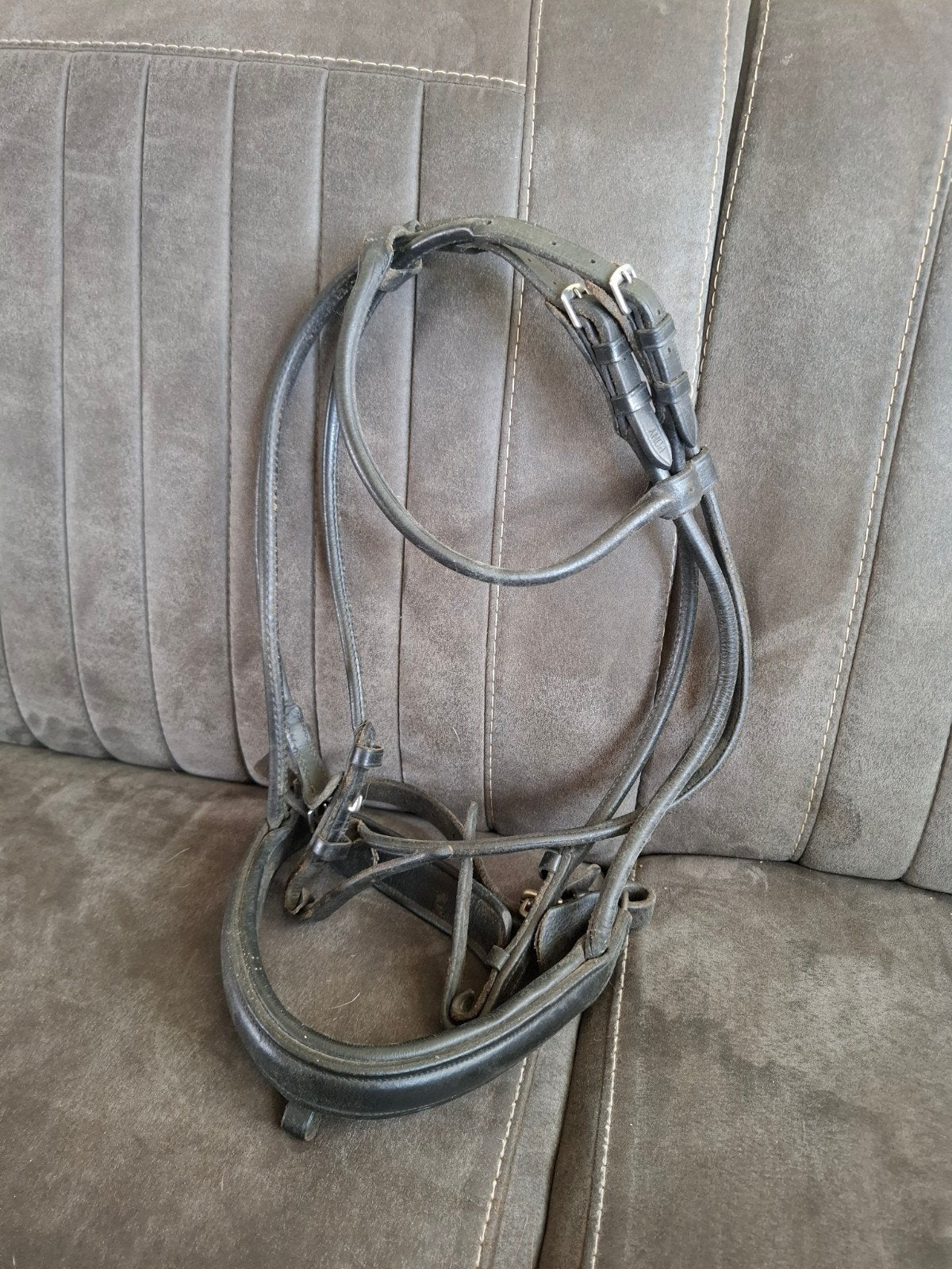 hoofdstel maat pony, Ophalen of Verzenden