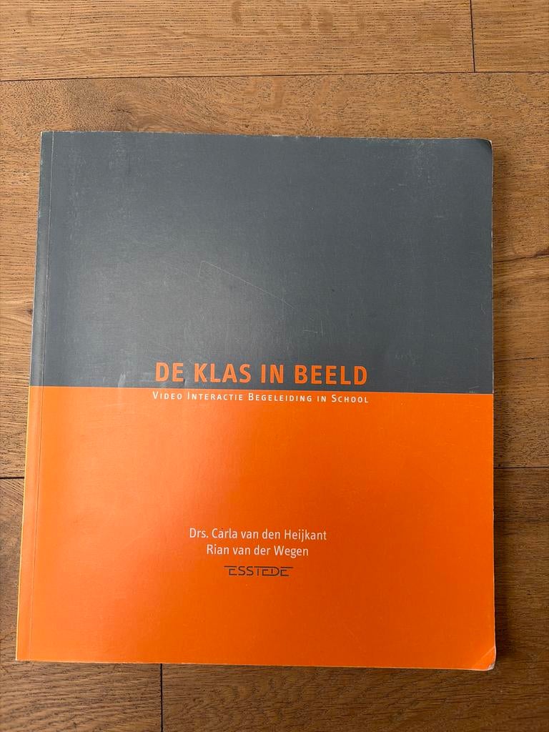 De Klas In Beeld - Video Interactie Begeleiding in School, Boeken, Studieboeken en Cursussen, Ophalen of Verzenden, Gamma, Zo goed als nieuw