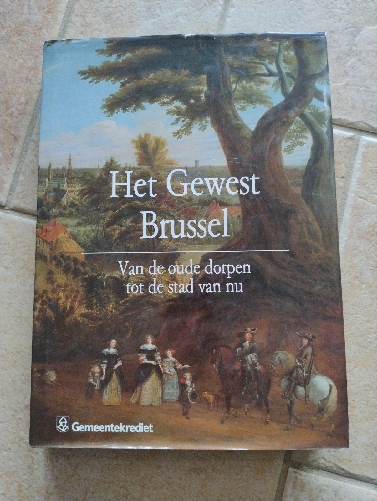 Het Gewest Brussel: Van de oude dorpen tot de stad van nu, Boeken, Ophalen of Verzenden, 20e eeuw of later, Zo goed als nieuw