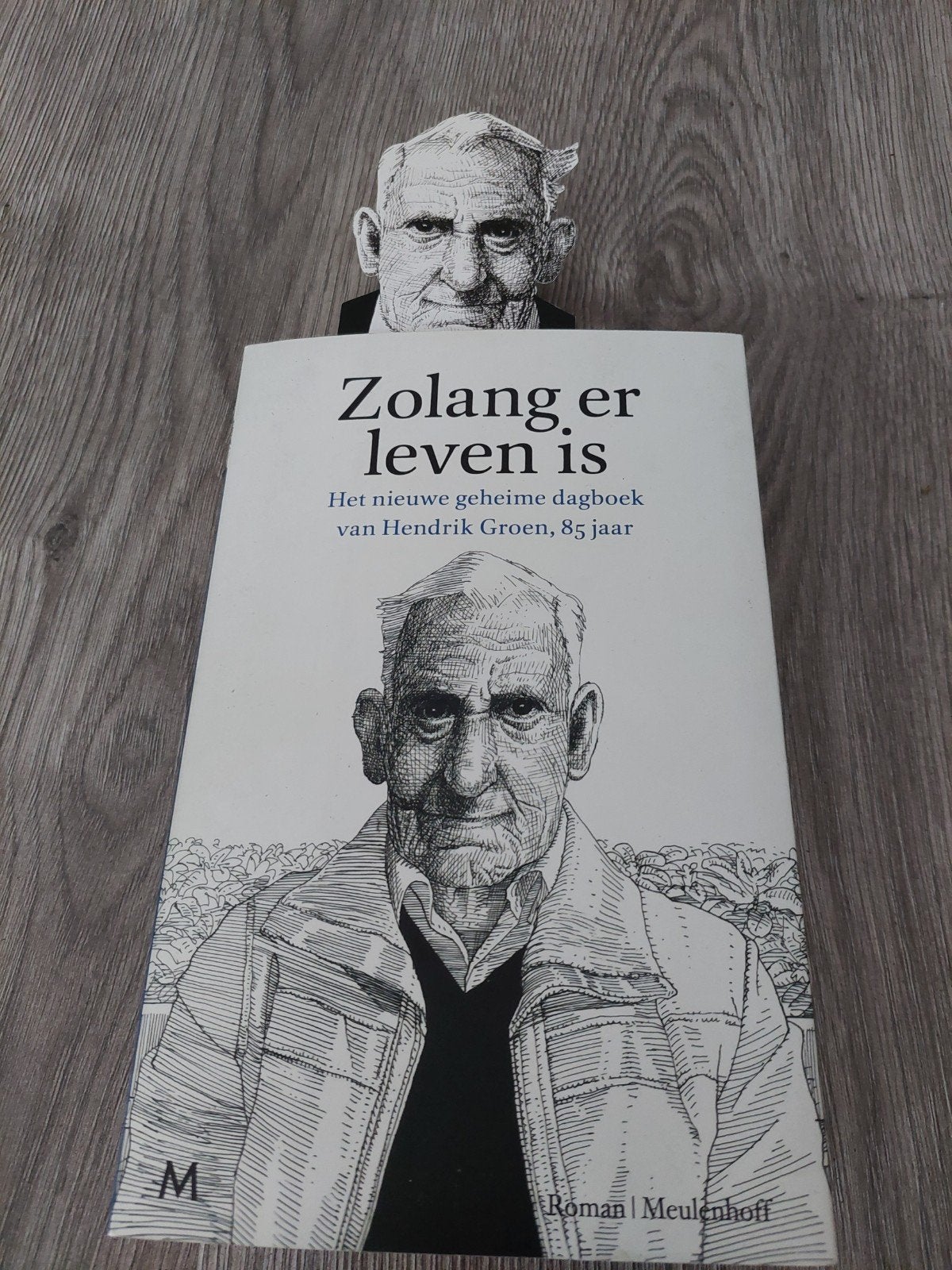 HENDRIK GROEN , Zolang er leven is, Ophalen of Verzenden, Zo goed als nieuw, Hendrik Groen, Nederland