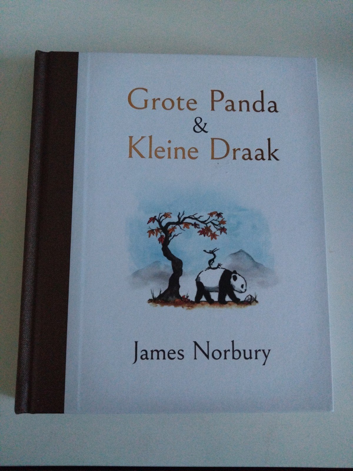 Grote Panda & Kleine Draak - James Norbury (nieuw), Boeken, Ophalen of Verzenden, Nieuw, James Norbury