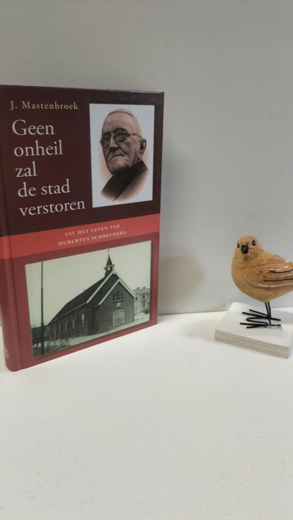 Mastenbroek, J.; Geen onheil zal de stad verstoren, Ophalen of Verzenden, Gelezen, Christendom | Protestants