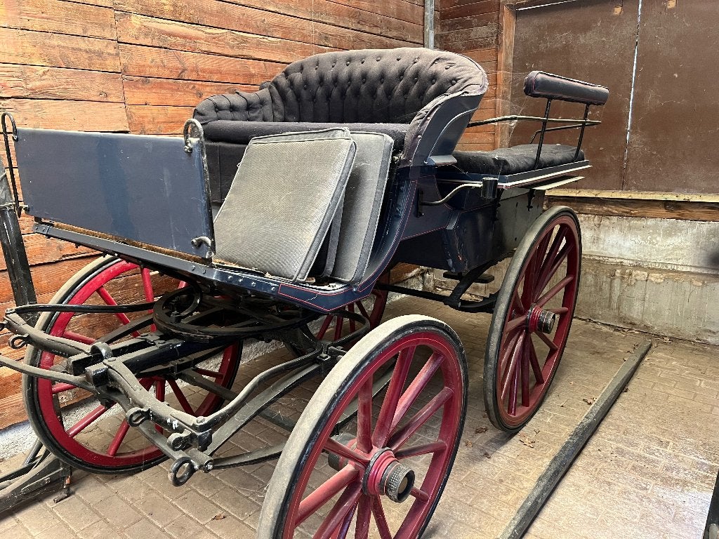 Rijtuig, Gebruikt, Wagonette, Paard