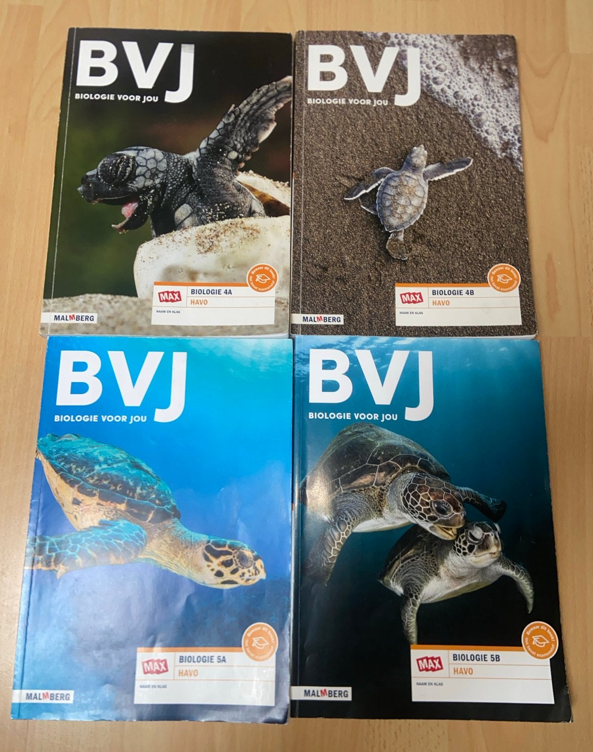 Set van 4 Biologie voor Jou (BVJ) HAVO, Verzenden, Zo goed als nieuw, HAVO, Biologie