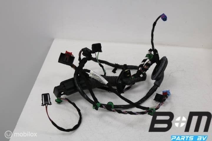 Kabelboom portier linksvoor VW Passat B8 3G1971120BD, Auto-onderdelen, Gebruikt