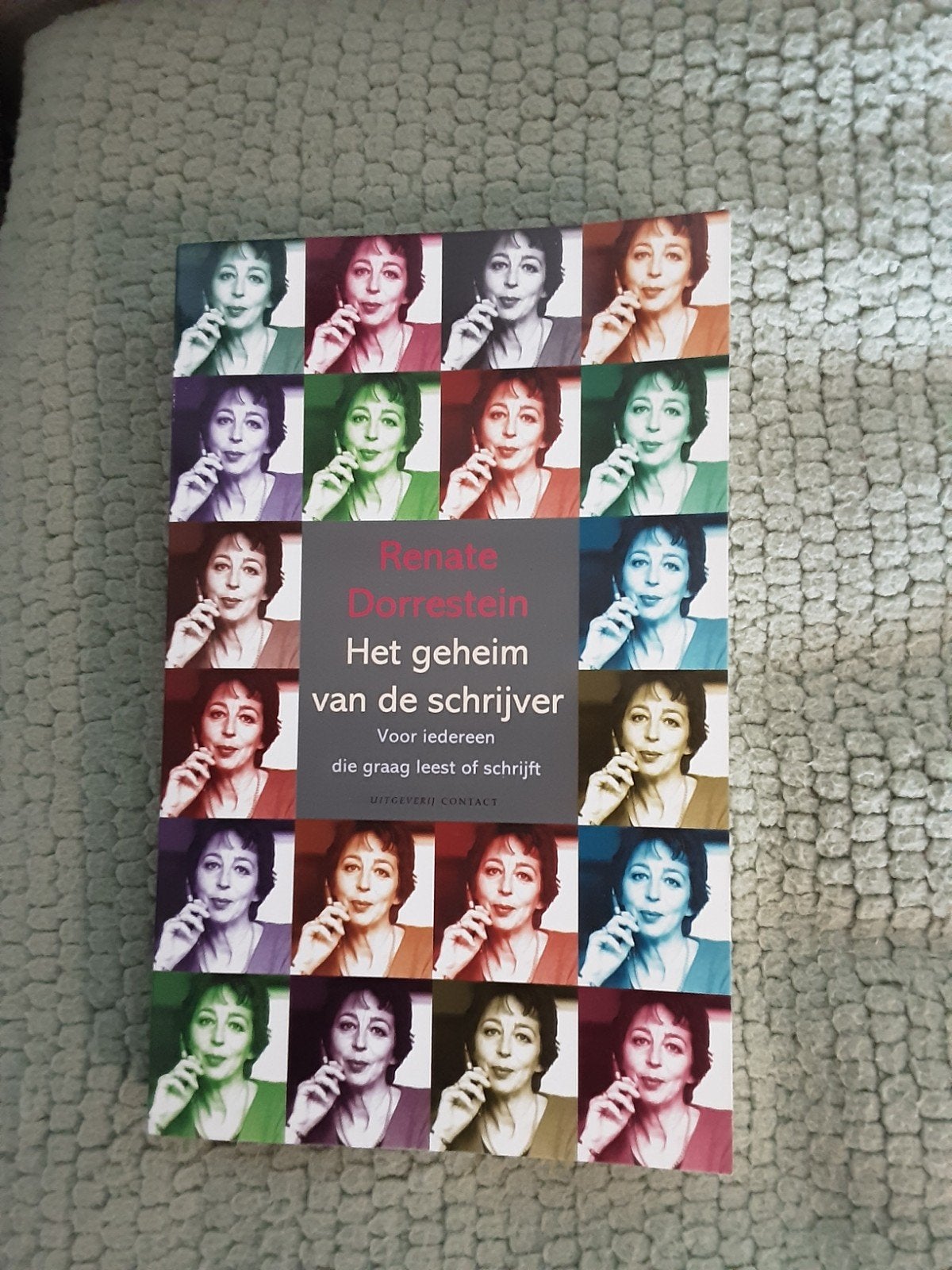 Renate Dorrestein----Het geheim van de schrijver, Ophalen of Verzenden, Zo goed als nieuw, Nederland, Renate Dorrestein.