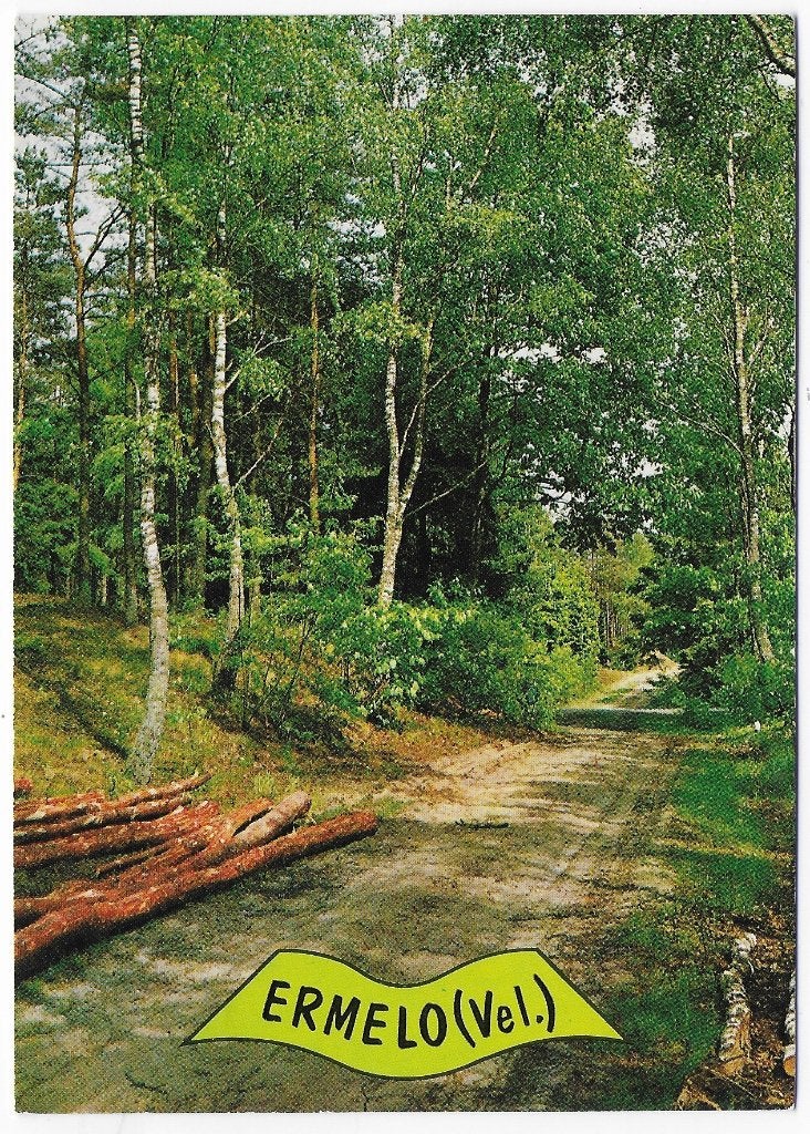 Ermelo gelopen Ansichtkaart ( B2707 ), Ophalen of Verzenden, 1980 tot heden, Gelopen, Gelderland