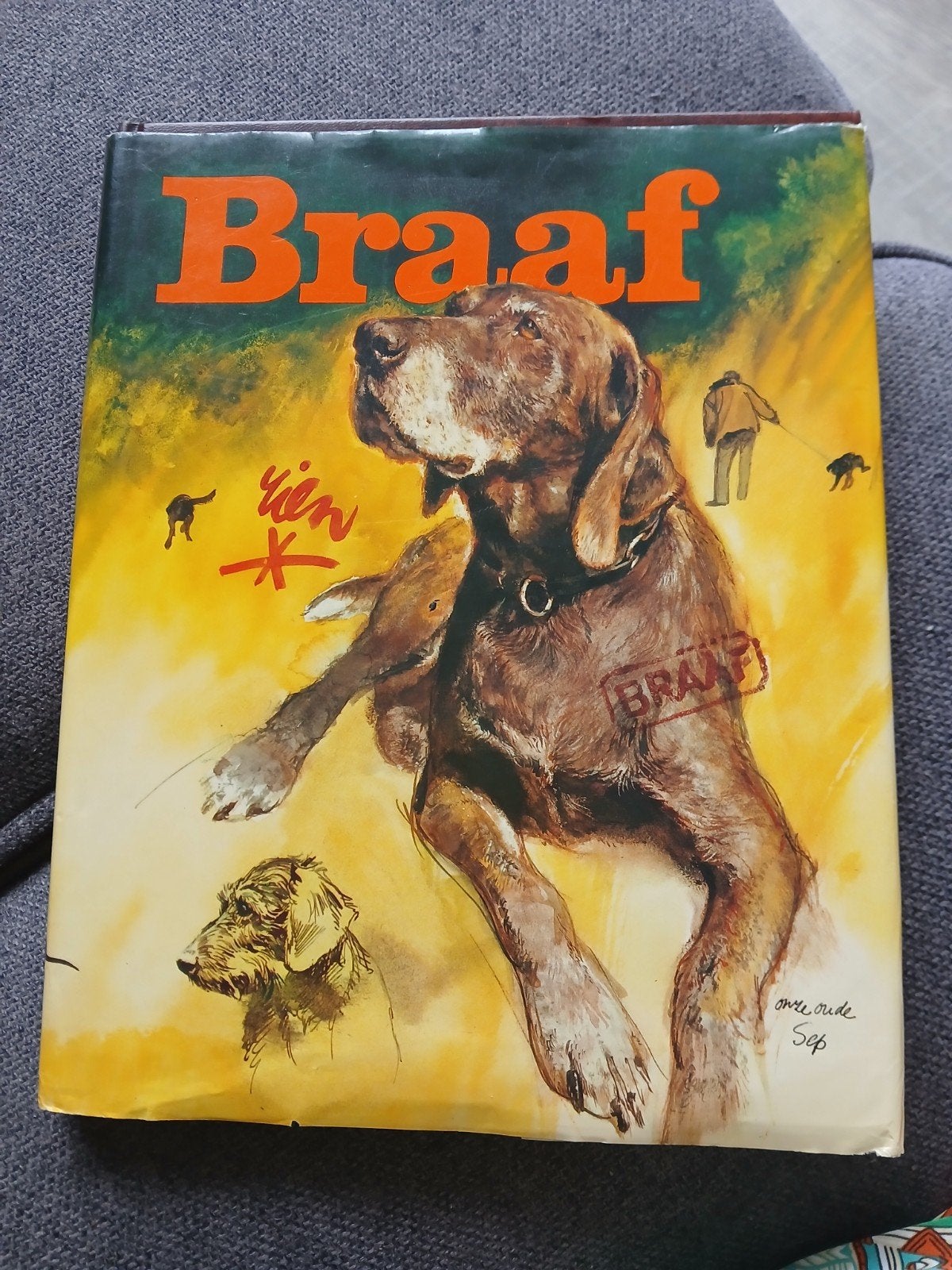 Braaf - Rien Poortvliet (boek, goede staat), Ophalen of Verzenden, Gelezen, Honden, Rien Poortvliet