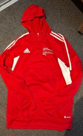 Sportshirt Adidas, Maat 52/54 (L), Ophalen of Verzenden, Zo goed als nieuw, Adidas