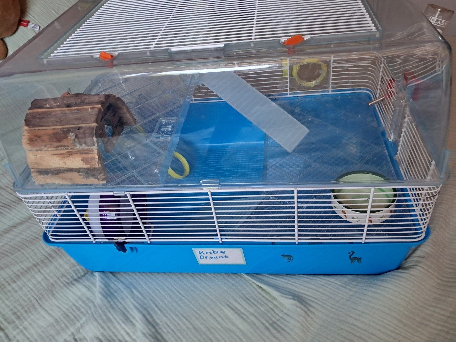 Hamsterhok, Dieren en Toebehoren, Minder dan 75 cm, Muis, Hok, Ophalen