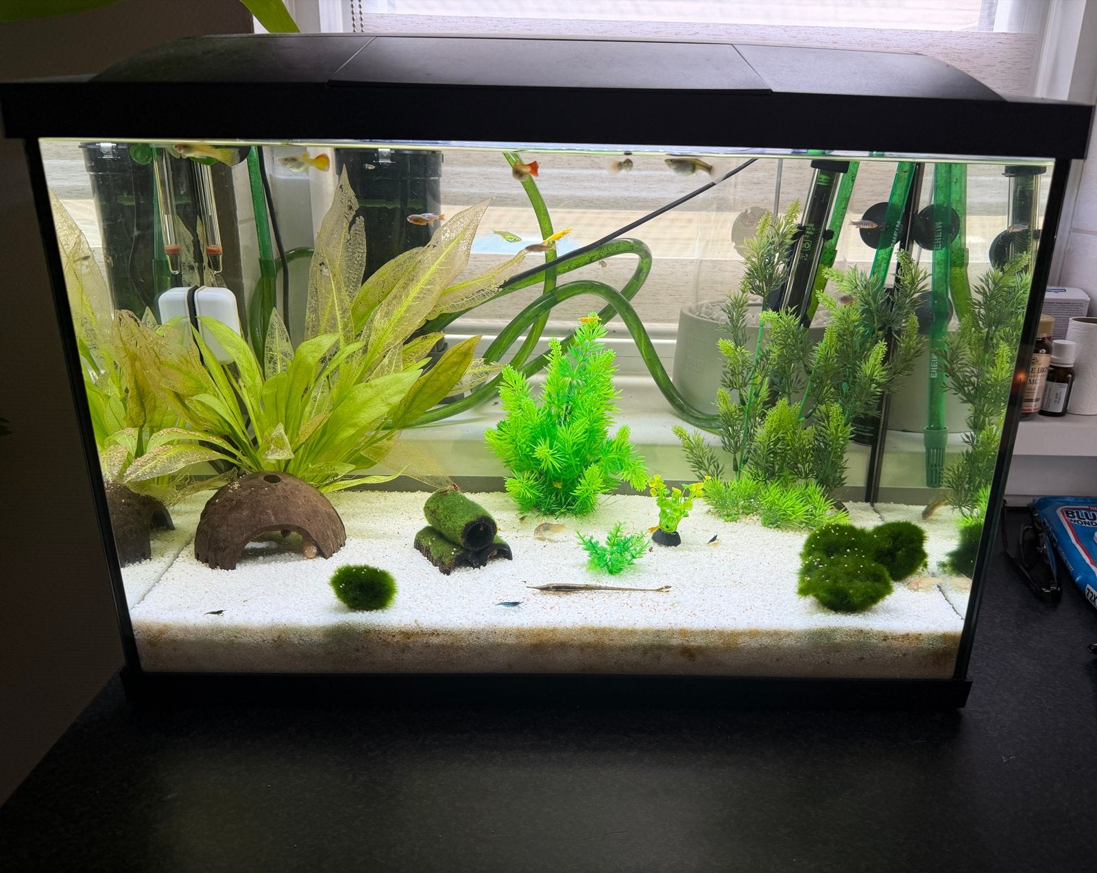 Aquarium. Met vissen en pomp, Dieren en Toebehoren, Vissen | Aquaria en Toebehoren, Ophalen of Verzenden, Zo goed als nieuw, Gevuld zoetwateraquarium