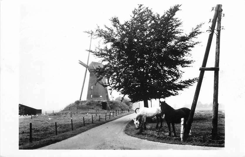 377-646-025 Bronkhorst Dwangmolen, Verzenden, Voor 1920, Gelderland