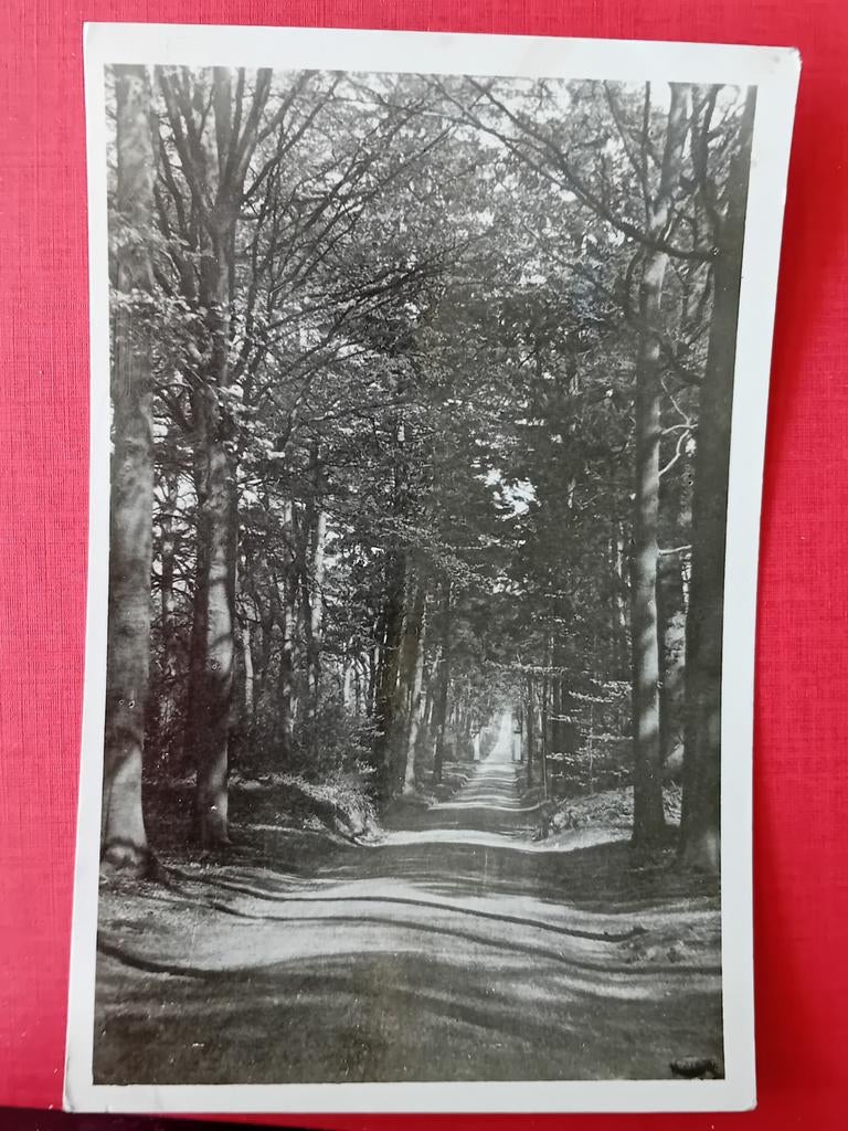 Fotokaart Hilversum, Ophalen of Verzenden, 1920 tot 1940, Noord-Holland