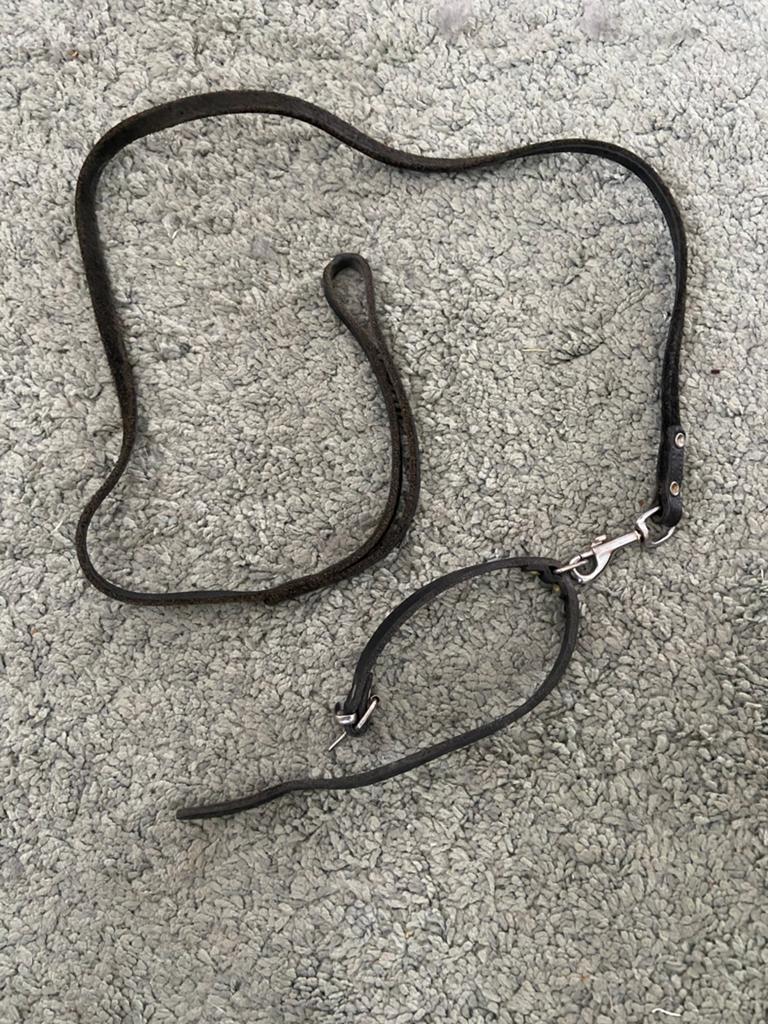 Hondenriem met halsband, Ophalen of Verzenden, Zo goed als nieuw