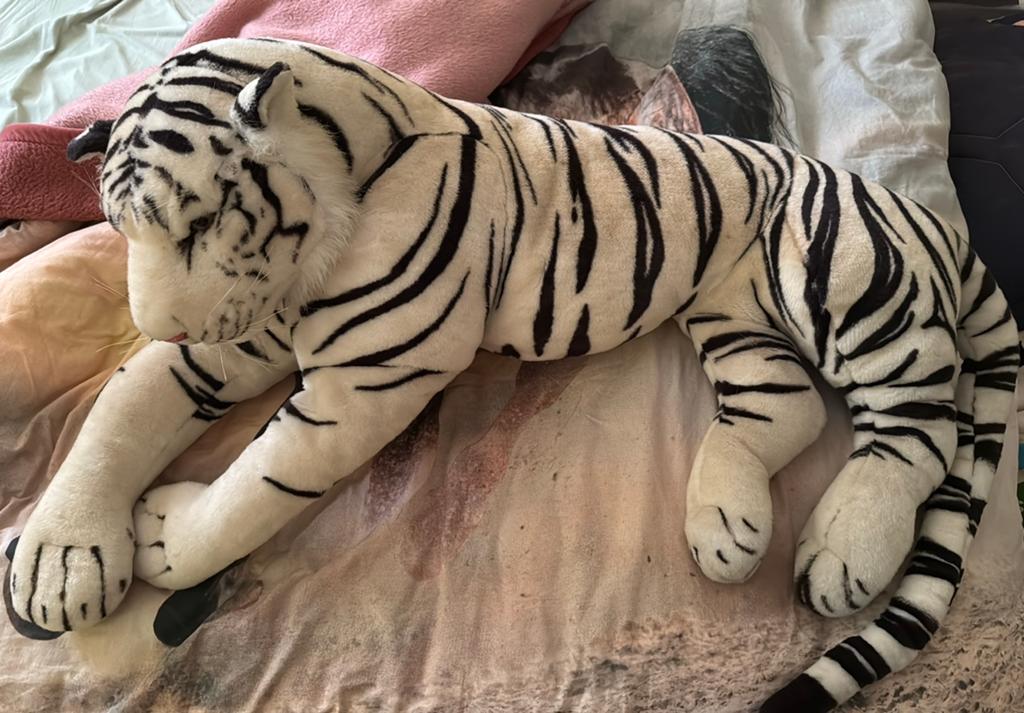 Grote tijger knuffel, Ophalen, Overige merken, Overige karakters, Middelgroot (20 tot 80 cm)
