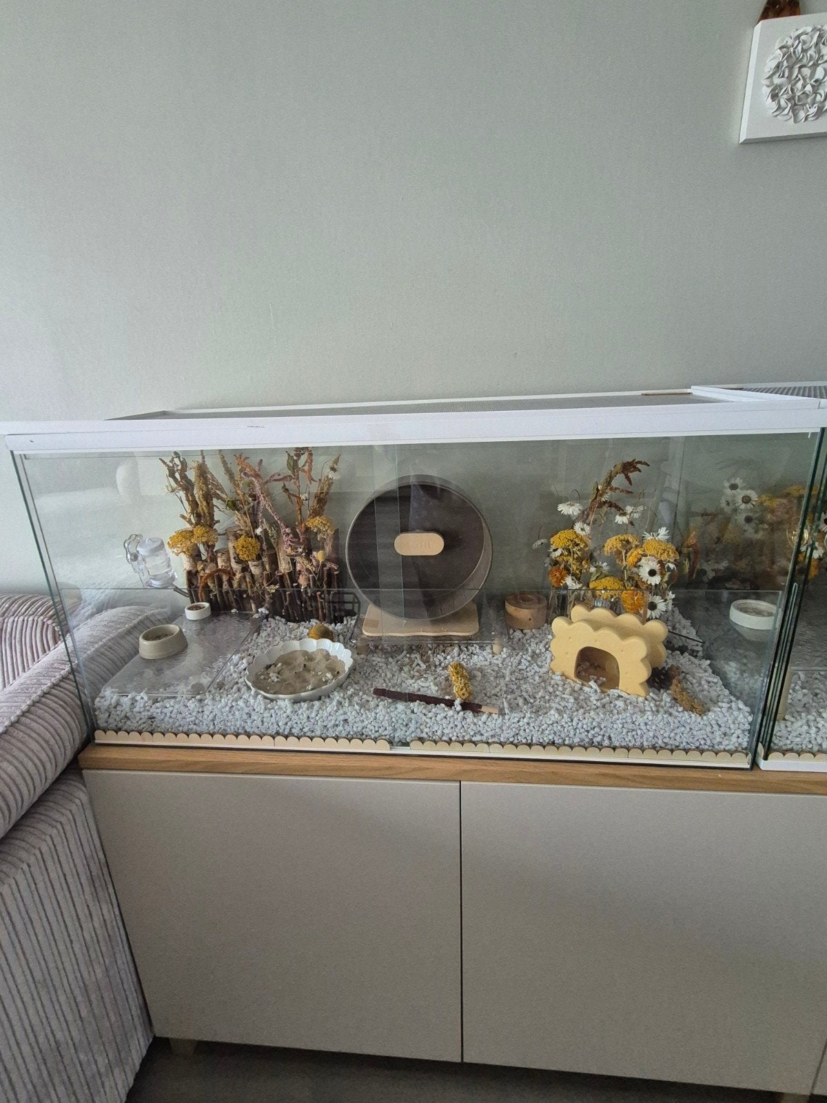 Terrarium 100x40x50 met witte lijsten, Ophalen, Zo goed als nieuw, Overige typen