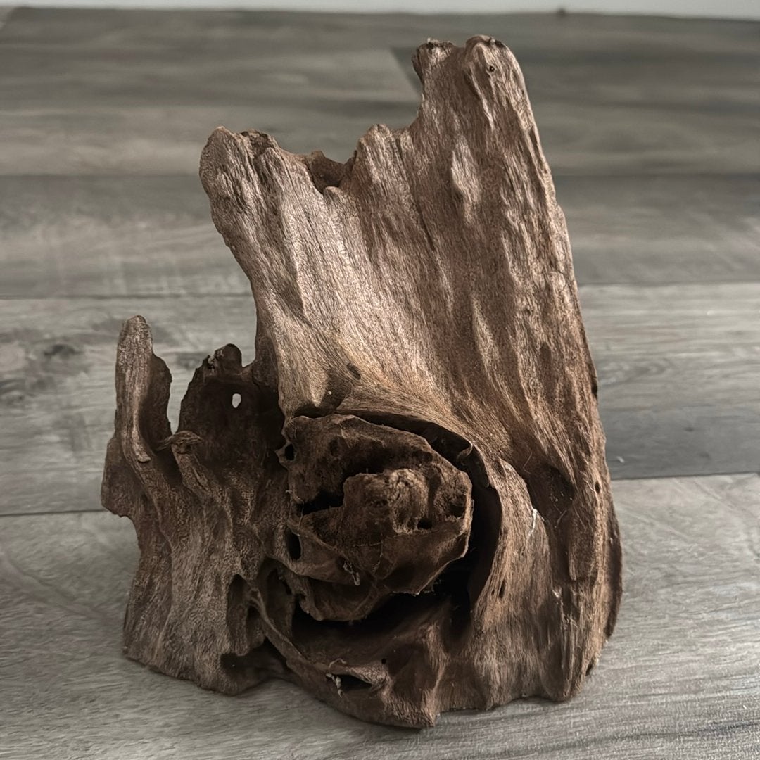 Drijfhout aquarium, Ophalen of Verzenden, Zo goed als nieuw, Plant(en), Steen of Hout