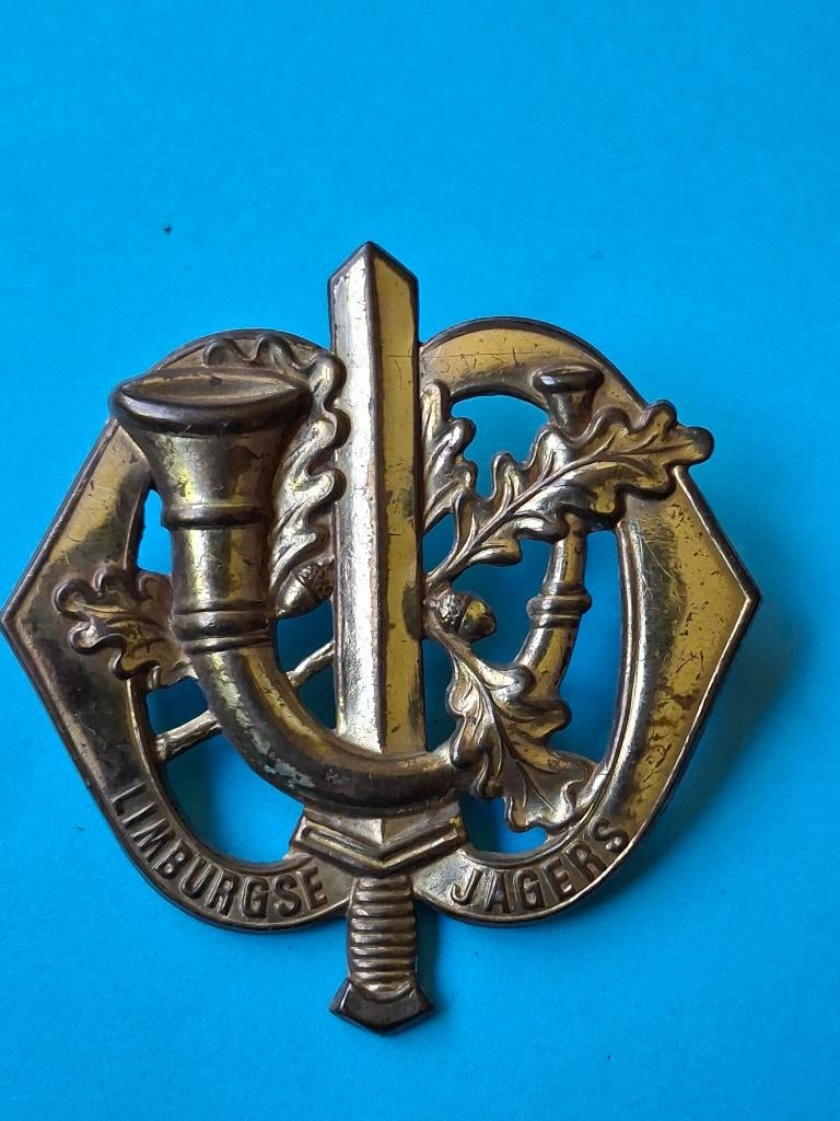 Baretembleem,medaille,oorkonde,knil,indie,onderscheiding, Verzenden, Landmacht, Nederland, Embleem of Badge