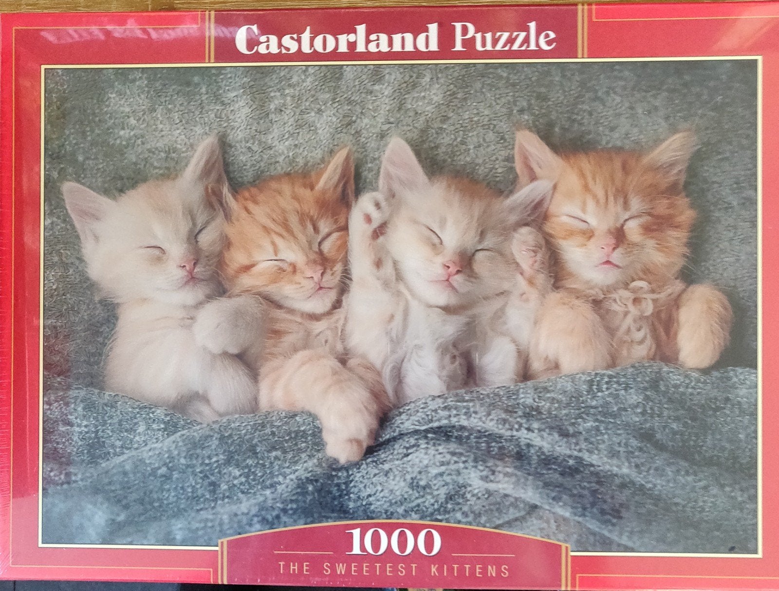 CASTORLAND THE SWEETEST KITTENS NIEUW GESEALED, Ophalen of Verzenden, 500 t/m 1500 stukjes, Nieuw