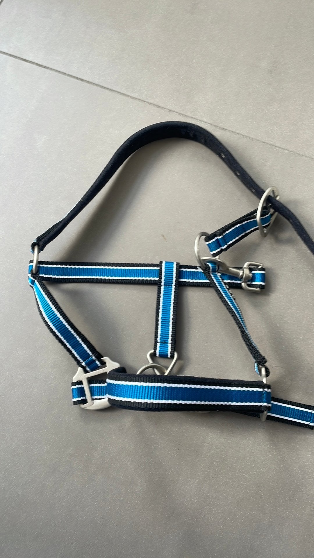 Ponyhalster nieuw!, Harry's Horse, Nieuw, Zacht onderlegd, Blauw